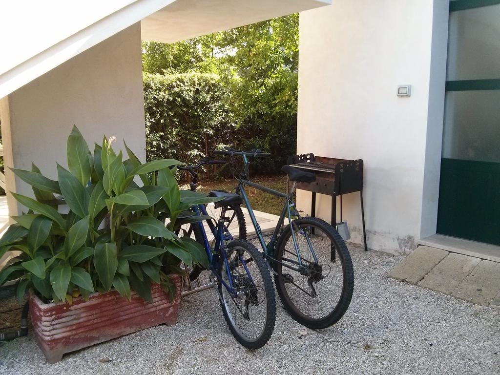 Dimora Liccisa Daire Torre Lapillo Oda fotoğraf